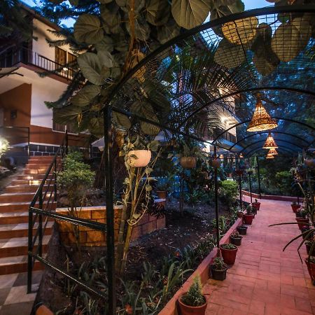 สไปซ์ จังเกิ้ล รีสอร์ต Bed & Breakfast มุนนาร์ ภายนอก รูปภาพ